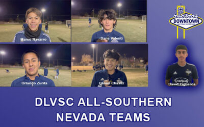 High School Honors For DLVSC Players